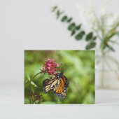 Monarch Butterfly Briefkaart (Staand voorkant)