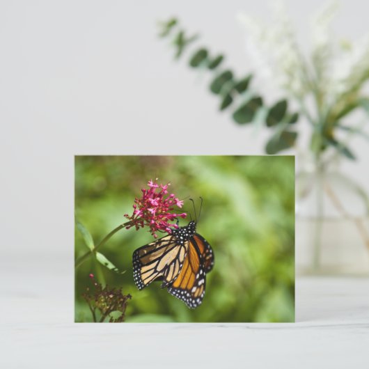 Monarch Butterfly Briefkaart (Staand voorkant)