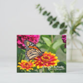 Monarch Butterfly Briefkaart (Staand voorkant)