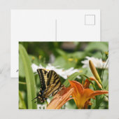 Monarch Butterfly Briefkaart (Voorkant / Achterkant)