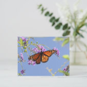 Monarch Butterfly Briefkaart (Staand voorkant)