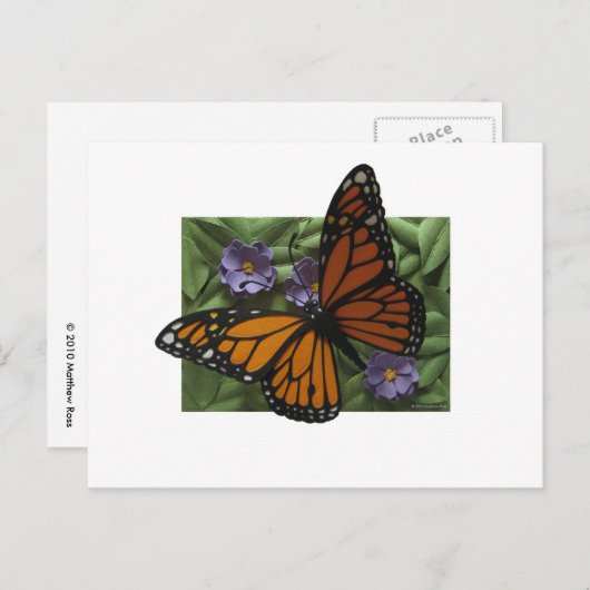 Monarch Butterfly Briefkaart (Voorkant / Achterkant)