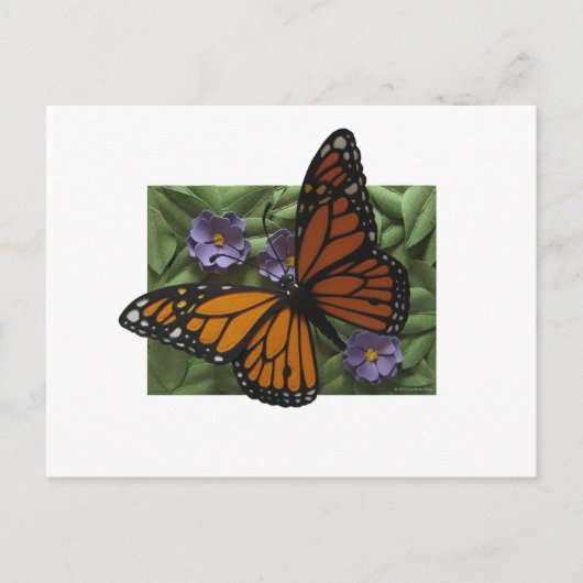 Monarch Butterfly Briefkaart (Voorkant)