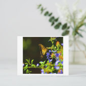 Monarch Butterfly briefkaart (Staand voorkant)