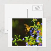 Monarch Butterfly briefkaart (Voorkant / Achterkant)
