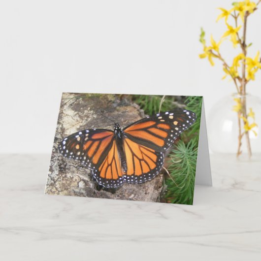 Monarch Butterfly-briefkaart Kaart (Gele Bloem)