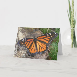Monarch Butterfly-briefkaart Kaart