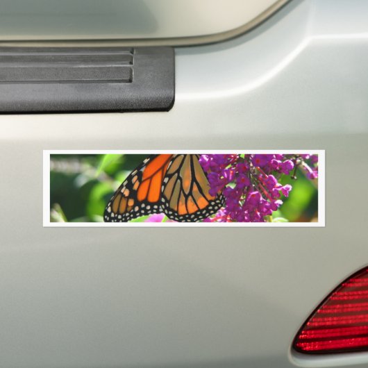 Monarch Butterfly Bumpersticker (Op auto)