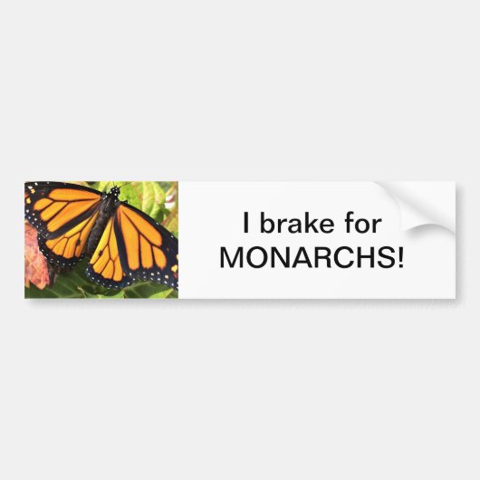 Monarch Butterfly - Bumpersticker (Voorkant)