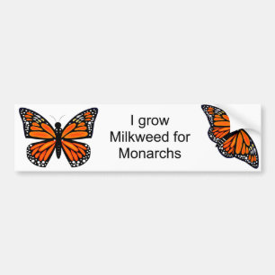 Monarch Butterfly Bumpersticker