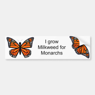 Monarch Butterfly Bumpersticker
