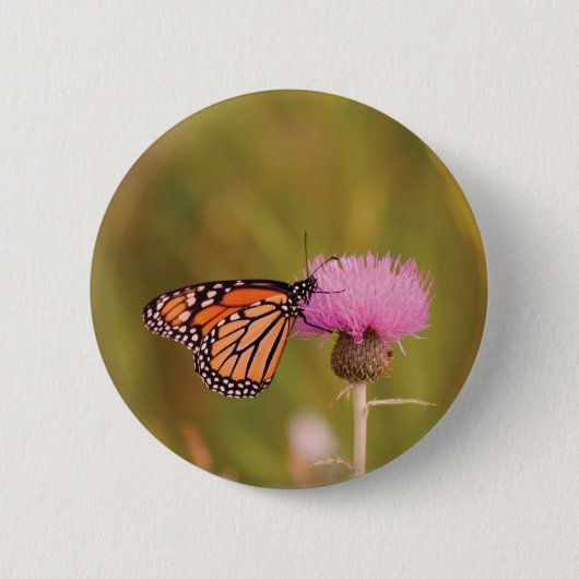 Monarch Butterfly Button (Voorkant)