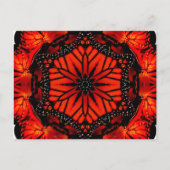 Monarch Butterfly & California Poppy - Briefkaart (Voorkant)