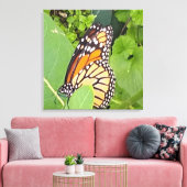 Monarch Butterfly — Canvas (Insitu (Woonkamer))