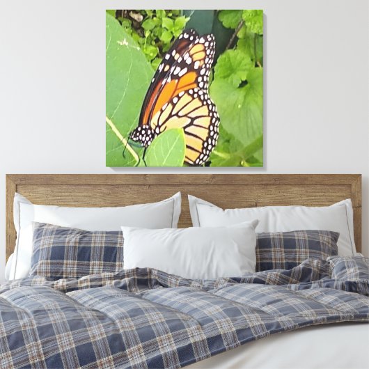 Monarch Butterfly — Canvas (Insitu (Slaapkamer))