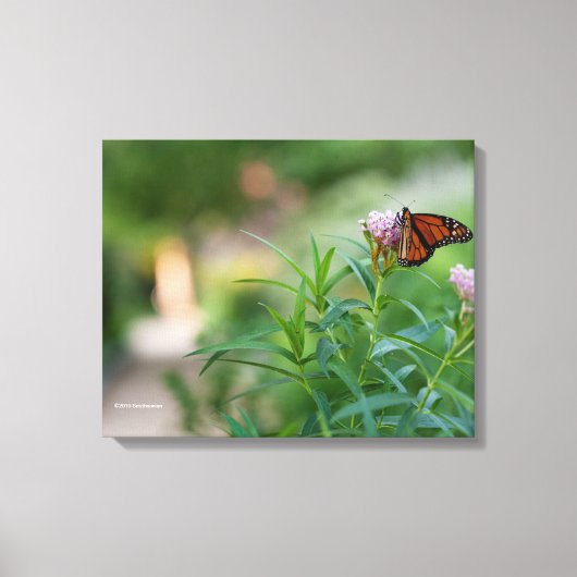 Monarch Butterfly Canvas Afdruk (Voorkant)