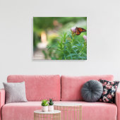 Monarch Butterfly Canvas Afdruk (Insitu (Woonkamer))