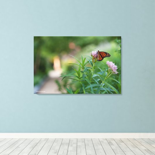 Monarch Butterfly Canvas Afdruk (Insitu (Houten vloer))