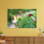 Monarch Butterfly Canvas Afdruk (Insitu (Woonkamer))