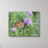 Monarch Butterfly Canvas Afdruk (Voorkant)