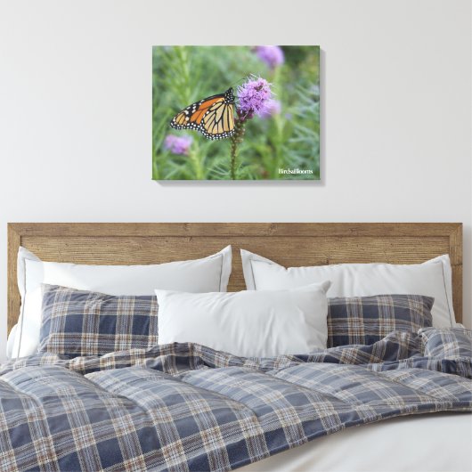 Monarch Butterfly Canvas Afdruk (Insitu (Slaapkamer))