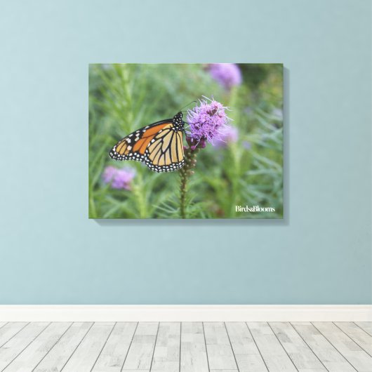 Monarch Butterfly Canvas Afdruk (Insitu (Houten vloer))
