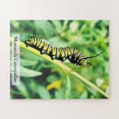 Monarch Butterfly Caterpillar on Swan Plant 56 Pcs Legpuzzel (Horizontaal)