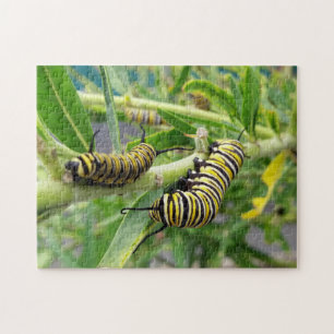 Monarch Butterfly Caterstyle Insect Legpuzzel