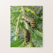 Monarch Butterfly Caterstyle Insect Legpuzzel (Verticaal)