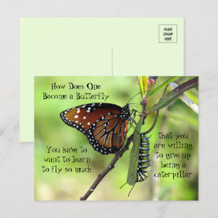 Monarch Butterfly & Caterstyle Quote Briefkaart