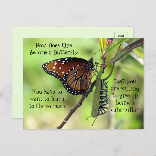 Monarch Butterfly & Caterstyle Quote Briefkaart (Voorkant / Achterkant)