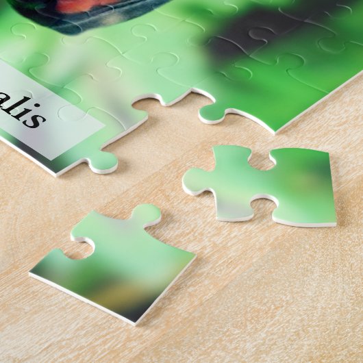 Monarch Butterfly Chrysalis Before Hatching 110Pcs Legpuzzel (Zijkant)