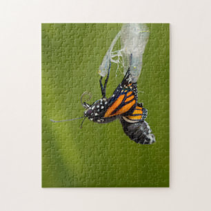 Monarch Butterfly Coming from Cocoon Puzzle Legpuzzel