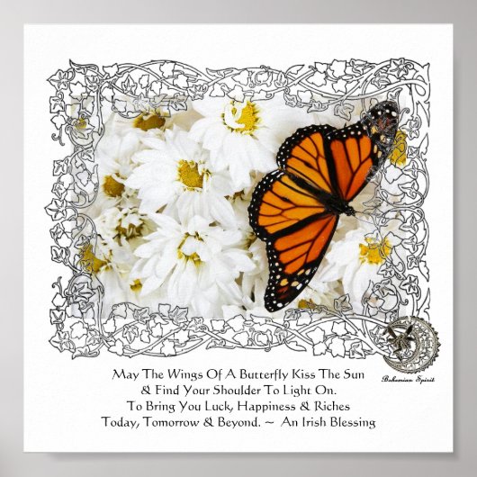 Monarch Butterfly & Daisies Poster (Voorkant)