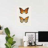 Monarch Butterfly Danais Archippus Sherman Denton Poster (Thuiskantoor)