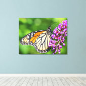 Monarch Butterfly - Danaus plexippus - Vrouw Canvas Afdruk (Insitu (Houten vloer))