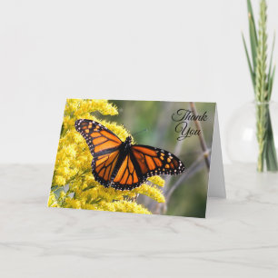 Monarch Butterfly Dank u Wenskaart Kaart