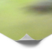 Monarch Butterfly die snack op nectar-foto-poster Poster (Hoek)