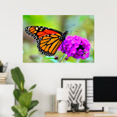 Monarch Butterfly die snack op nectar-foto-poster Poster (Thuiskantoor)