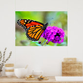 Monarch Butterfly die snack op nectar-foto-poster Poster (Keuken)