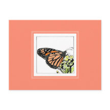 Monarch Butterfly door Mark Edward Westerfield