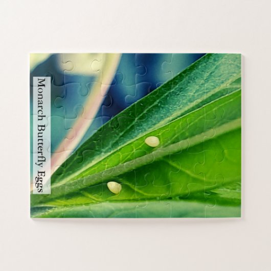 Monarch Butterfly Eggs 30Pcs Legpuzzel (Horizontaal)