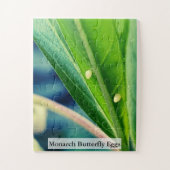 Monarch Butterfly Eggs 30Pcs Legpuzzel (Verticaal)