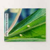 Monarch Butterfly Eggs 56 Pieces Legpuzzel (Horizontaal)