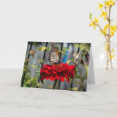 Monarch Butterfly en bidsprinkhaan op Red Zinnia Kaart (Gele Bloem)