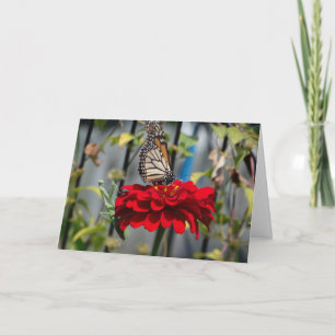Monarch Butterfly en bidsprinkhaan op Red Zinnia Kaart