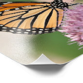 Monarch Butterfly en Bumblebee op Wildflower Foto Afdruk (Hoek)