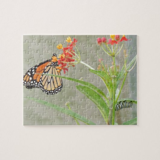 Monarch Butterfly en Caterstyle Legpuzzel (Horizontaal)