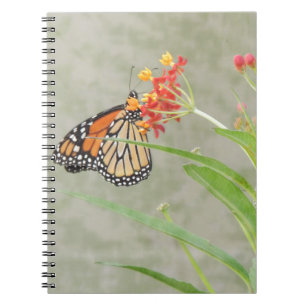 Monarch Butterfly en Caterstyle Notitieboek