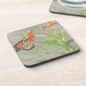 Monarch Butterfly en Caterstyle Onderzetter (Linkerzijde)